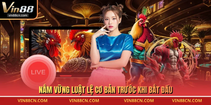 Nắm vững luật lệ cơ bản trước khi bắt đầu